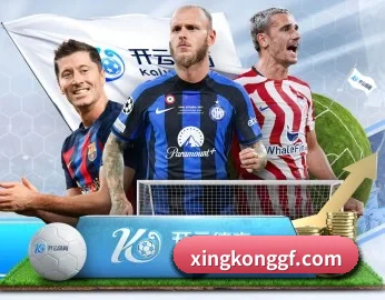 星空综合股份(中国)的故事