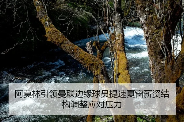 阿莫林引领曼联边缘球员提速夏窗薪资结构调整应对压力