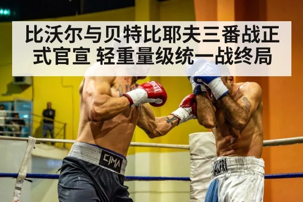light heavyweight championship